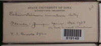 Image Associated With the Occurence